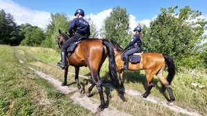 policjanci na koniach