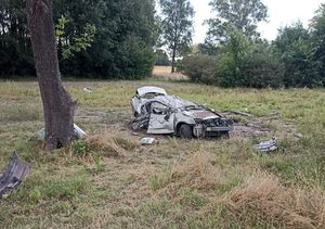 uszkodzony samochód stojący przy drzewie poza drogą