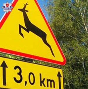 znak drogowy Uwaga dzikie zwierzęta
