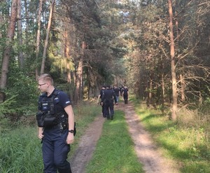 policjanci w lesie podczas poszukiwań kobiety