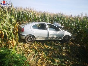 pojazd osobowy w polu kukurydzy