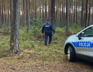 policjant w lesie, obok radiowóz