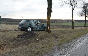 rozbity pojazd stoi przy drzewie