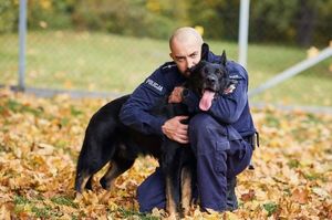 policyjny pies z przewodnikiem