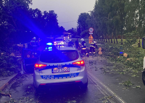 Policjanci zabezpieczają drogę podczas usuwania drzew z jezdni