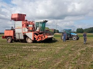 kombajn oraz ciągnik rolniczy stoją na polu, nad nimi są linie energetyczne