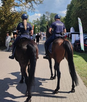 policjanci na koniach