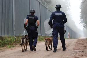 Dwaj policjanci z psami patrolują pas graniczny