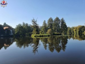 wysepka na stawie w Zwierzyńcu