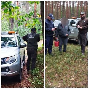 kolaż zdjęć przedstawiający policjanta i strażnika leśnego w lesie