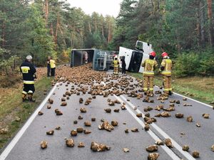 rozsypane buraki na drodze