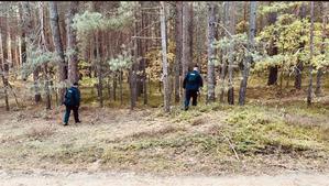 Policjanci poszukują zaginionej w lesie.