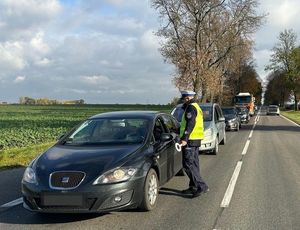 policjant podczas kontroli pojazdu na drodze