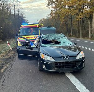 pojazd Peugeot po zderzeniu z łosiem, za nim karetka