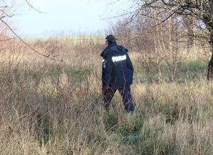 policjant chodzi po łące