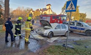 służby podczas gaszenia samochodu