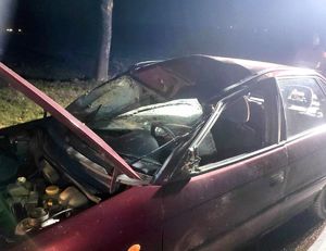 zniszczony pojazd po zderzeniu z łosiem