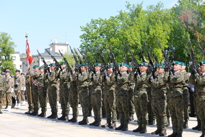 wojsko podczas oddania salwy honorowej