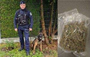 Przewodnik z psem oraz zabezpieczone narkotyki.