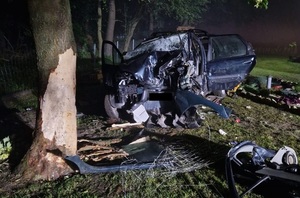 rozbity pojazd o drzewo
