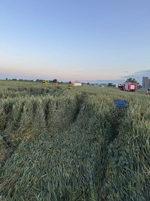 Pole zboża, gdzie dachowało Audi. W oddali pojazdy służb