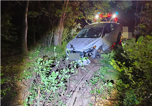 uszkodzony samochód osobowy w zaroślach w porze nocnej