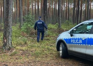 policjant w trakcie poszukiwań w lesie obok radiowóz