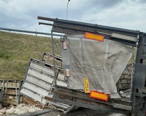 tył przewróconej ciężarówki z kurczakami