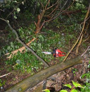 miejsce wypadku w lesie. Piła spalinowa na ziemi