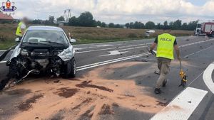 samochody po kolizji