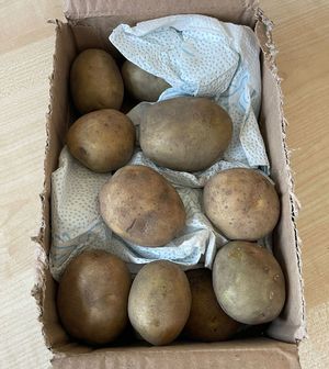 ziemniaki w pudełku okręcone ręcznikiem papierowym