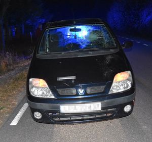 Samochód marki Renault Scenic stoi na jezdni