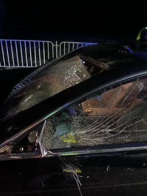 zniszczony przód pojazdu i wybita szyba po zderzeniu z łosiem