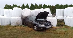 Samochód marki Seat stoi na trawiastym podłożu