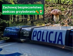 napis policja i grzyb napis zachowaj bezpieczeństwo podczas grzybobrania