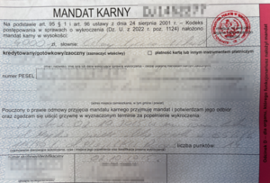 blankiet mandatu karnego kierującego pojazdem