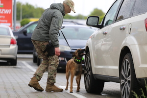 policyjny pies i przewodnik przy aucie