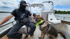 pies z przewodnikiem na łodzi motorowej