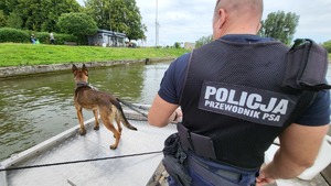 pies i przewodnik na łodzi