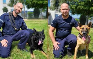 dwaj policjanci pozują ze swoimi psami