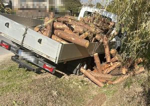 samochód dostawczy iveco w rowie z częściowo rozsypanym drewnem