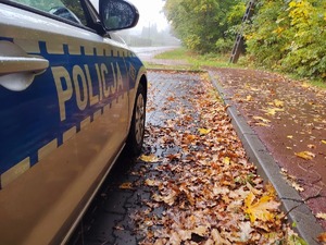 radiowóz na drodze pokrytej liśćmi