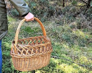 koszyk trzymany przez grzybiarkę w lesie