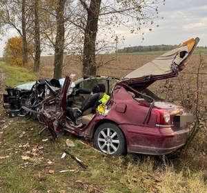 Rozbita Toyota o drzewo