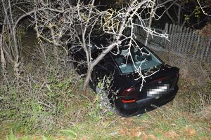 Samochód na siatce ogradzającej ogródki działkowe