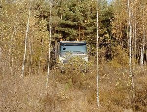 samochód ciężarowy w lesie