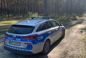 radiowóz na tle lasu