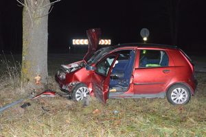 Uszkodzony samochód stojący poza jezdnią w pobliżu drzewa