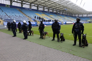 Policjanci z psami służbowymi.