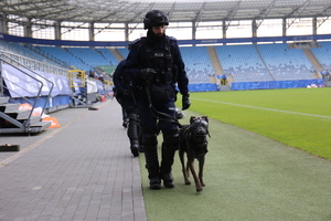 Policjant z psem służbowym na stadionie Motor Arena Lublin.